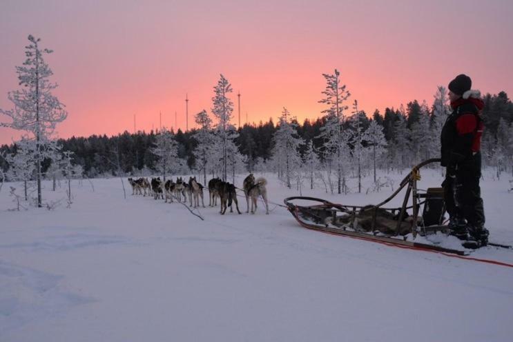 Apartment Suutarintie - Authentic Lappish Experience By The River Rovaniemi Exterior photo